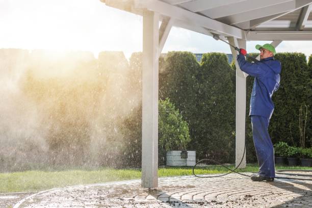 Best Roof Washing  in Mount Vernon, GA
